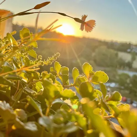 Ky481 Im Panoramic *