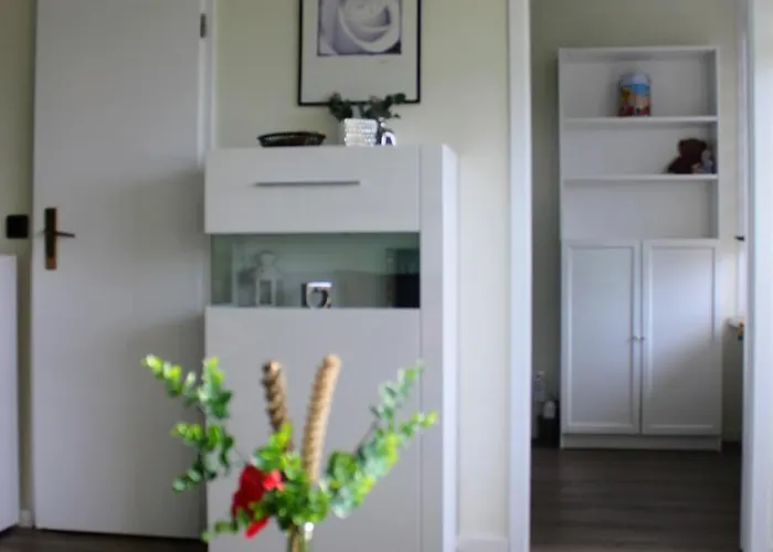 Ky481 Im Panoramic * Hohegeiß