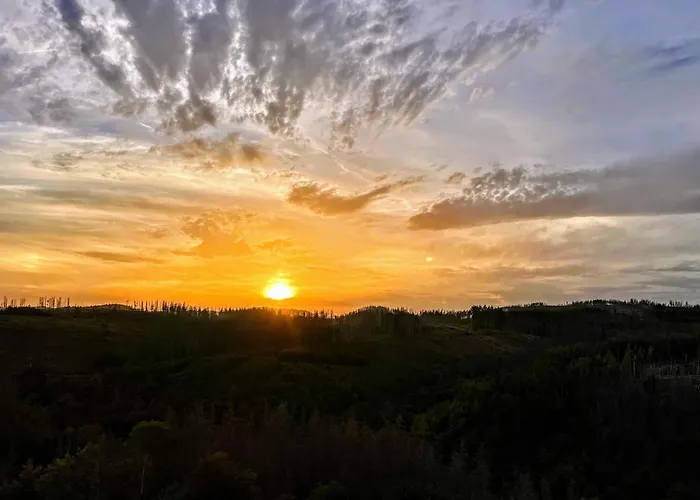 Ky481 Im Panoramic Daire *